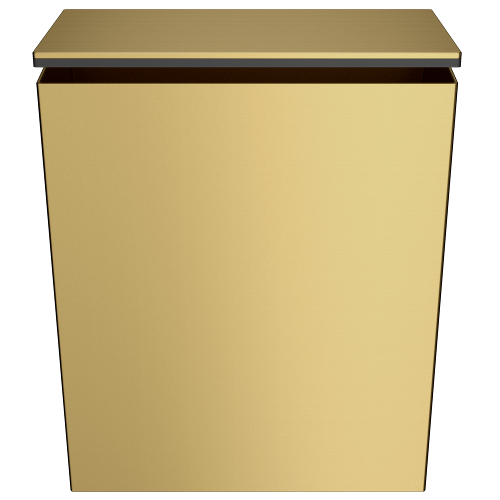 AP - Duten poubelle murale à couvercle 5L avec étrier, finition PVD Iflusse